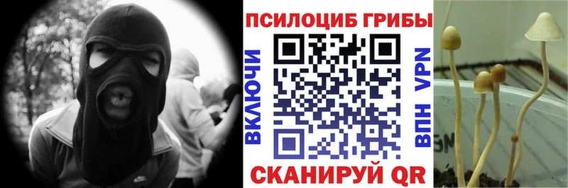 Псилоцибиновые грибы GOLDEN TEACHER  Купить закладки  Кологрив 